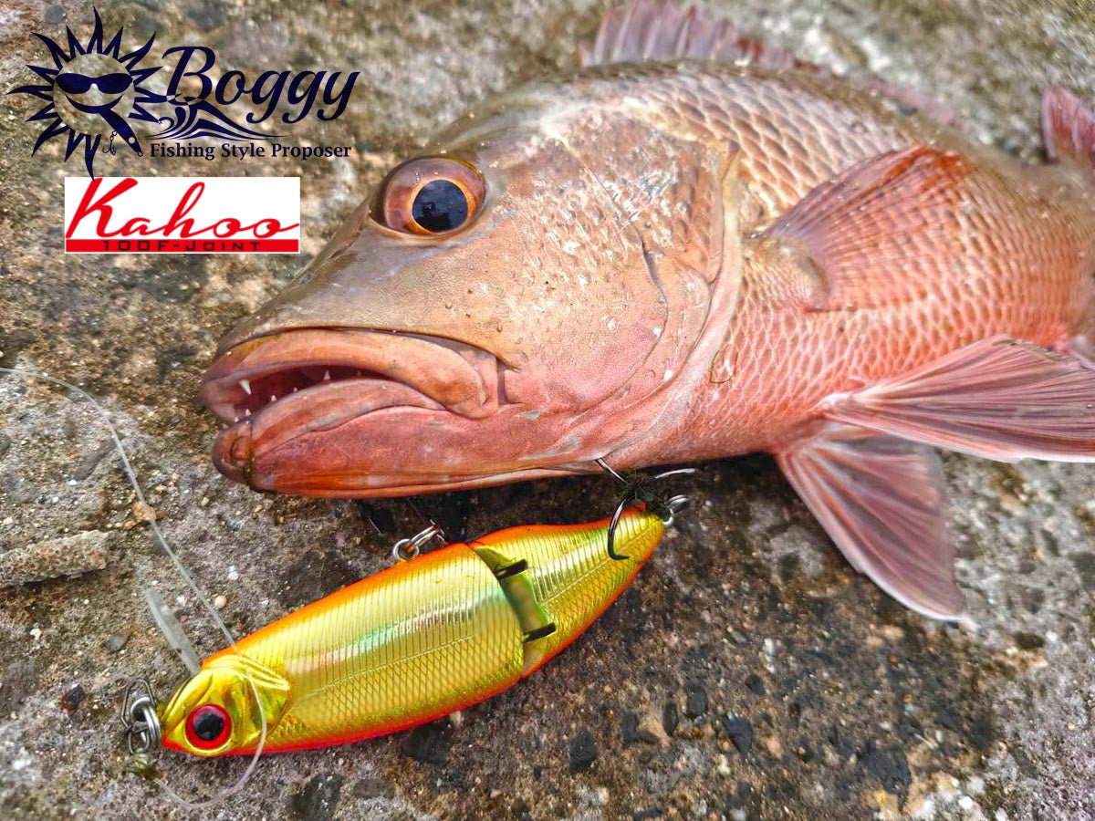 Boggy KAHOO 100F Jointed Lure – Anglers Outfitter - AOF