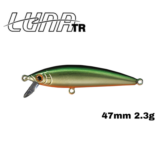 Smith - Luna TR S 47mm (Made in Japan)