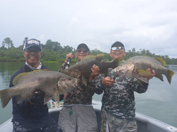 Triple hook up river fishing in PNG.....