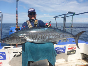 Holy mackerel on Amegari Kaxu 240 Komodo island.......