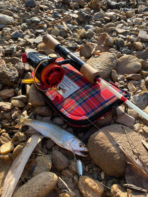 Burmese trout from Malaysia with AOF SFS cardinal 3 spool