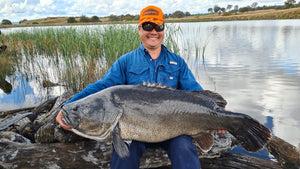 Monster Murraycod taped 120cm