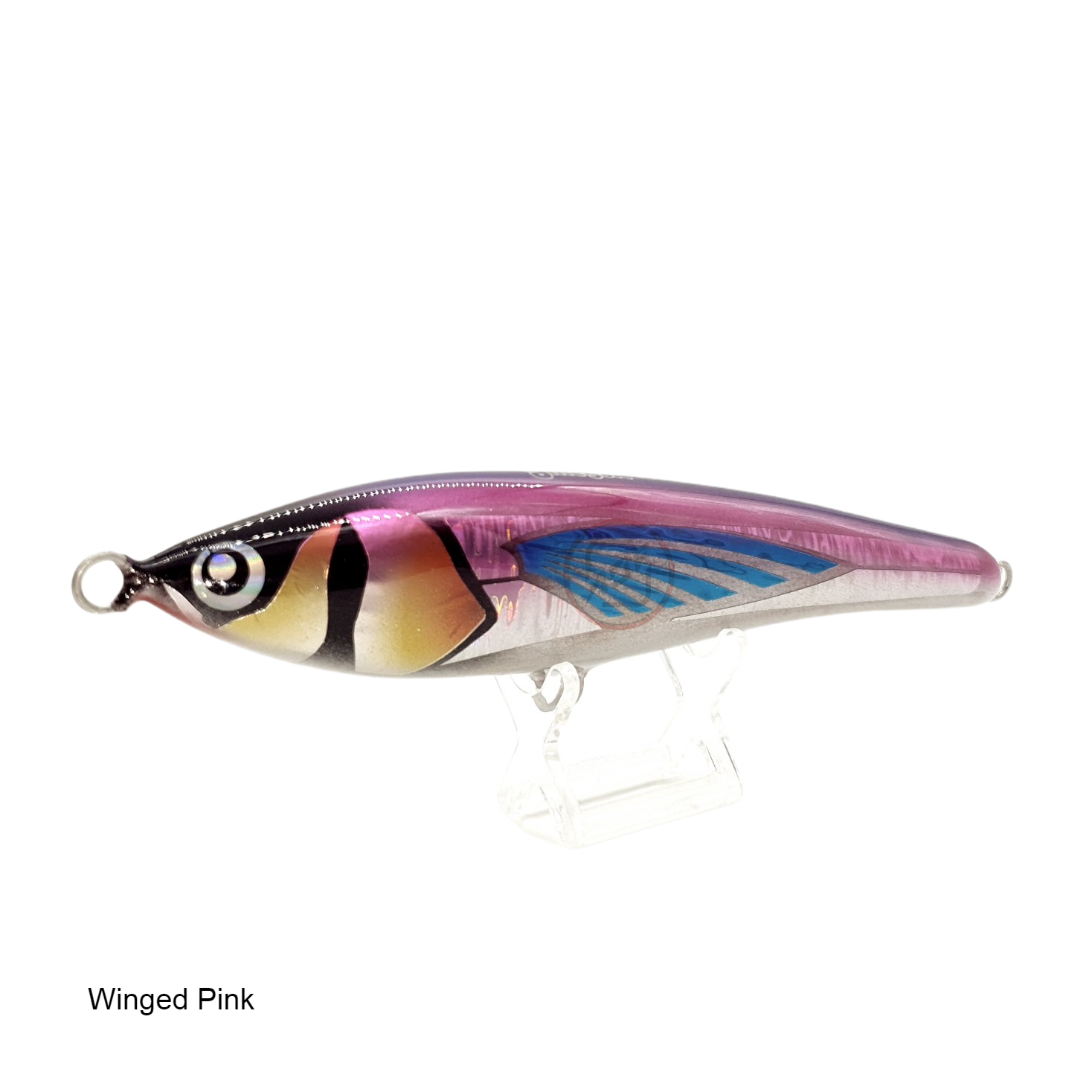 Amegari Kaxu 215FS - Saltywater Tackle Inc.